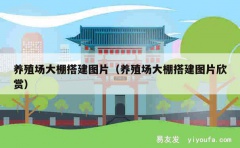 养殖场大棚搭建图片（养殖场大棚搭建图片欣赏）