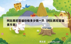 阿比西尼亚猫价格多少钱一只（阿比西尼亚猫贵不贵）