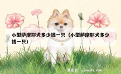 小型萨摩耶犬多少钱一只（小型萨摩耶犬多少钱一只）