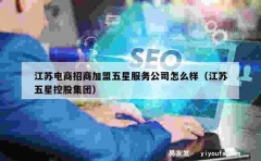 江苏电商招商加盟五星服务公司怎么样（江苏五星控股集团）