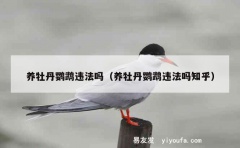 养牡丹鹦鹉违法吗（养牡丹鹦鹉违法吗知乎）