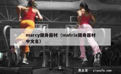 marcy健身器材（matrix健身器材中文名）