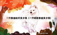 一只泰迪幼犬多少钱（一只幼崽泰迪多少钱）