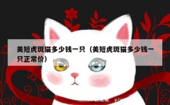 美短虎斑猫多少钱一只（美短虎斑猫多少钱一只正常价）