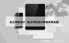 私立学校会计（私立学校会计账务处理流程）