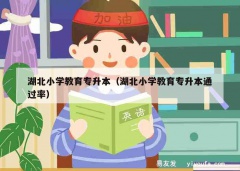 湖北小学教育专升本（湖北小学教育专升本通过率）