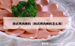 韩式烤肉腌料（韩式烤肉腌料怎么用）