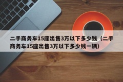 二手商务车15座出售3万以下多少钱（二手商务车15座出售3万