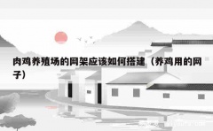 肉鸡养殖场的网架应该如何搭建（养鸡用的网子）