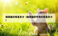 缅因猫价格是多少（缅因猫的市场价格是多少）