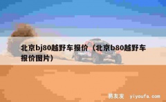 北京bj80越野车报价（北京b80越野车报价图片）