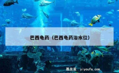 巴西龟药（巴西龟药浴水位）