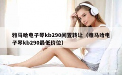 雅马哈电子琴kb290闲置转让（雅马哈电子琴kb290最低价