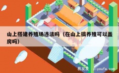 山上搭建养殖场违法吗（在山上搞养殖可以盖房吗）