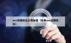 seo百度优化公司加盟（百度seo正规优化）