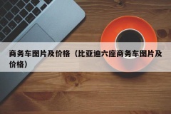 商务车图片及价格（比亚迪六座商务车图片及价格）