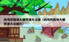 肉鸡养殖场大棚搭建方法图（肉鸡养殖场大棚搭建方法图片）