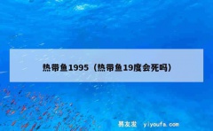 热带鱼1995（热带鱼19度会死吗）