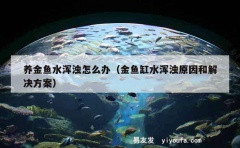 养金鱼水浑浊怎么办（金鱼缸水浑浊原因和解决方案）