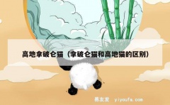 高地拿破仑猫（拿破仑猫和高地猫的区别）