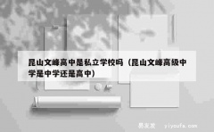 昆山文峰高中是私立学校吗（昆山文峰高级中学是中学还是高中）