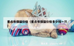 重点布偶猫价格（重点布偶猫价格多少钱一只）