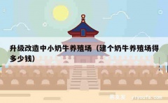 升级改造中小奶牛养殖场（建个奶牛养殖场得多少钱）