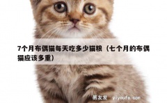 7个月布偶猫每天吃多少猫粮（七个月的布偶猫应该多重）