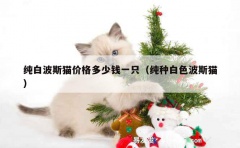 纯白波斯猫价格多少钱一只（纯种白色波斯猫）