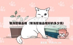 银渐层猫品相（银渐层猫品相好的多少钱）