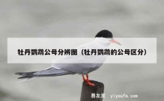 牡丹鹦鹉公母分辨图（牡丹鹦鹉的公母区分）