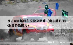 凌志400越野车报价及图片（凌志越野300h报价及图片）