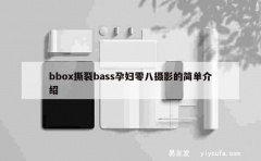 bbox撕裂bass孕妇零八摄影的简单介绍