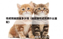 棕虎斑缅因猫多少钱（缅因猫棕虎斑跟什么猫配）