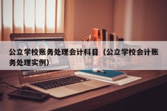 公立学校账务处理会计科目（公立学校会计账务处理实例）