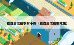 铁皮房改造农村小院（铁皮房改别墅效果）