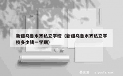 新疆乌鲁木齐私立学校（新疆乌鲁木齐私立学校多少钱一学期）