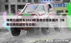 特斯拉越野车2023款落地价格及图片（特斯拉新款越野车价格）