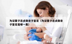 为证妻子忠贞做亲子鉴定（为证妻子忠贞做亲子鉴定是哪一集）