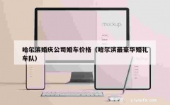 哈尔滨婚庆公司婚车价格（哈尔滨最豪华婚礼车队）