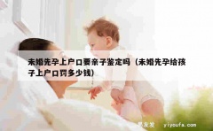 未婚先孕上户口要亲子鉴定吗（未婚先孕给孩子上户口罚多少钱）