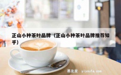 正山小种茶叶品牌（正山小种茶叶品牌推荐知乎）