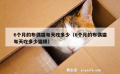 6个月的布偶猫每天吃多少（6个月的布偶猫每天吃多少猫粮）