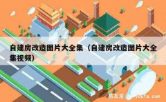 自建房改造图片大全集（自建房改造图片大全集视频）