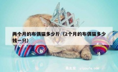 两个月的布偶猫多少斤（2个月的布偶猫多少钱一只）