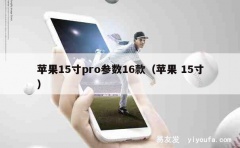 苹果15寸pro参数16款（苹果 15寸）