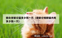 银白拿破仑猫多少钱一只（拿破仑矮脚猫大概多少钱一只）