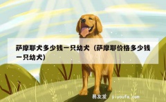 萨摩耶犬多少钱一只幼犬（萨摩耶价格多少钱一只幼犬）