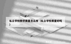 私立学校教学质量怎么样（私立学校质量好吗）