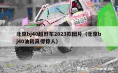 北京bj40越野车2023款图片（北京bj40油耗高得惊人）